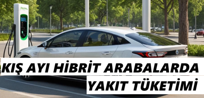 Kışın Hibrit Arabalarda Yakıt Tüketimi